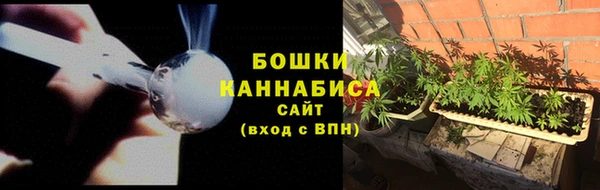 винт Новозыбков