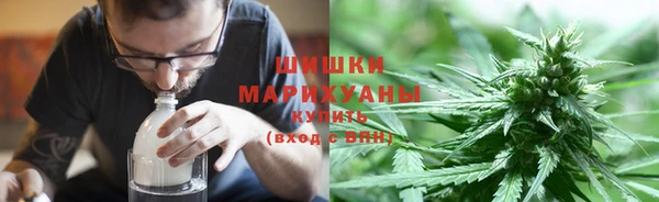 винт Новозыбков